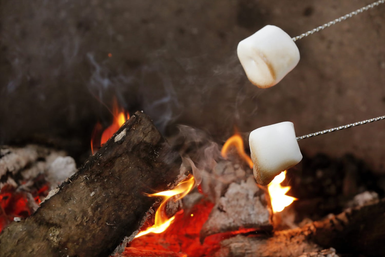 焚き火で焼きマシュマロ 琵琶湖グランピング Glamping Village 滋賀今津浜 リゾグラ リゾートグランピングドットコム